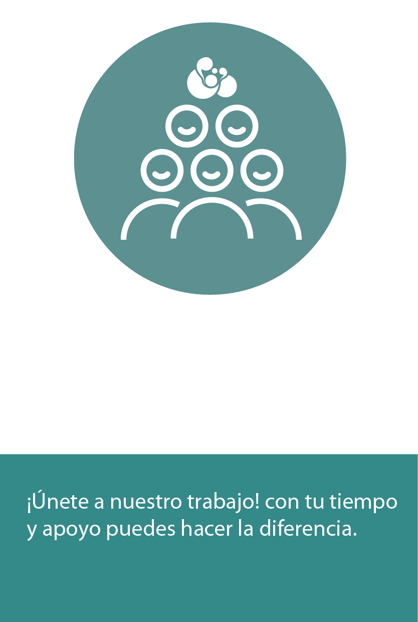 Voluntariado